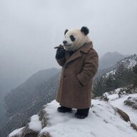 Pandda