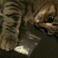 NiceClun