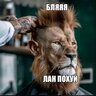Слив сайта LIVE RUSSIA [2022]