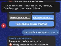 IMG_3916.jpeg