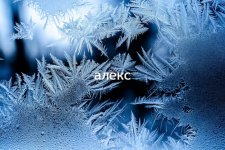 beautiful-frost-pattern-window_181624-1501.jpg