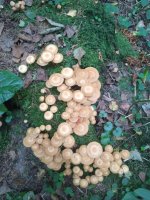 IMG_20250907_180749_758.jpg