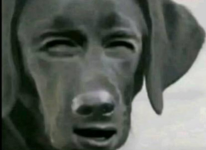 1759759252053.png