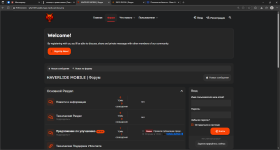 HAVERLIDE MOBILE _ Форум и еще 1 страница — Личный_ Microsoft​ Edge 05.12.2025 19_19_33.png