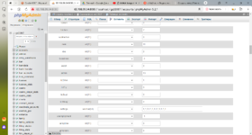 65.108.99.34_8080 _ localhost _ gs33987 _ accounts _ phpMyAdmin 5.2.1 — Яндекс Браузер 31.05.2...png