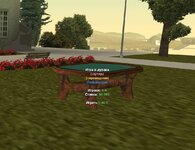 дурак стол.jpg