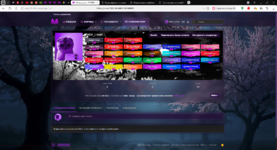 Редактировать пользователя_ Viktor_Lover _ MATRESHKA PREMIUM - Панель управления администратор...png