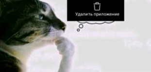 1778950037450.png