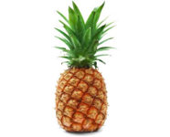 1781899424419.png