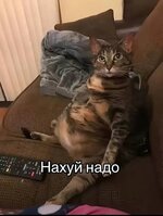 images.jpg