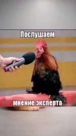 1784546219533.png