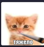 1747935236445.png