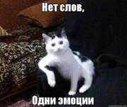 1752439463585.png