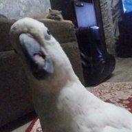 wedqaeeqeqeudueueue