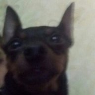 kirill05101998