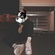 fincriminal