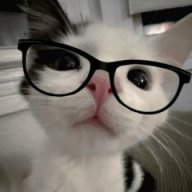 WHITEBOPUSDS