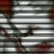 7664455