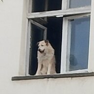 Максим98