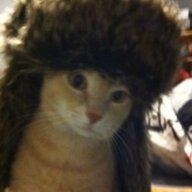 kattanabww