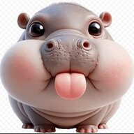 jsadyhduasgsdgsa