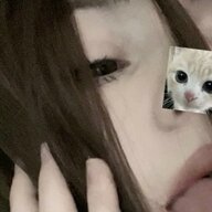 цамупиепртр
