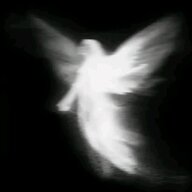 SkyDev