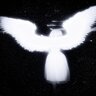 Angel Angels
