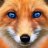 KeoFox