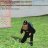 Baldy_se31