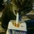 MurMeow